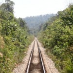Ligne de train traversant la foret Malaise