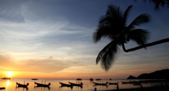 Koh Tao, coquillages et crustacés