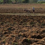 Parc de Phu Hin Bun - Road trip J2