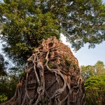 Sur la route des temples