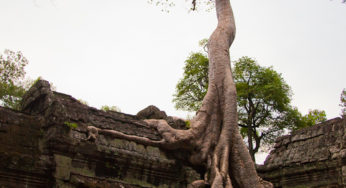 « Au fond des forêts du Siam, j’ai vu l’étoile du soir se lever sur les grandes ruines d’Angkor. »