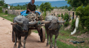 Etape à Battambang