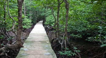 Krong Koh Kong la pluvieuse