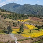 Hsipaw, entre brume et rizières