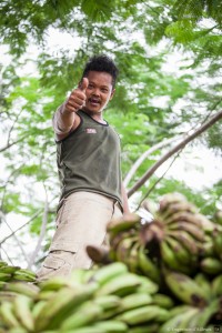 Le livreur de banane Jakarta, Java