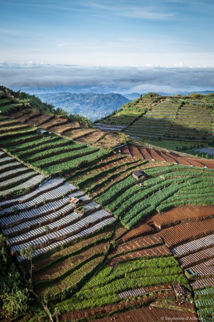 Depuis Sikunir sur le plateau de Dieng