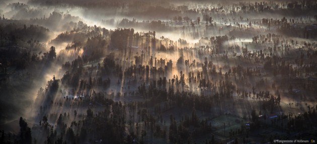 Lumière du matin