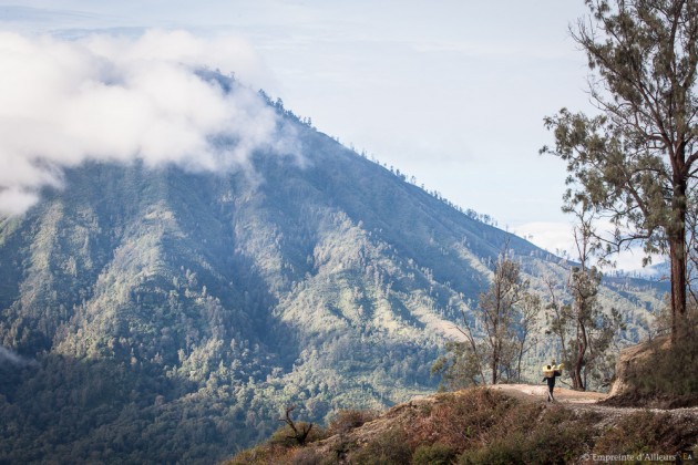 Porteurs de soufre au pied des volcans